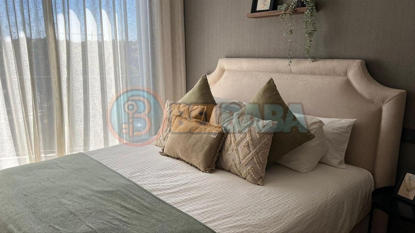 Location studio meublé neuf Palmiers