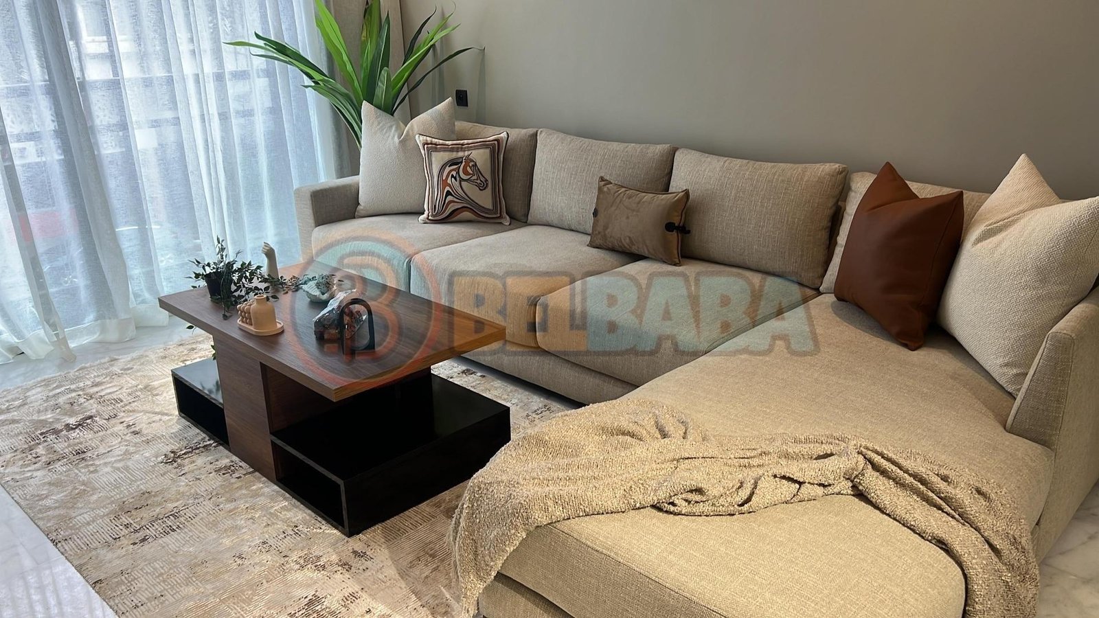 Location studio meublé neuf Palmiers