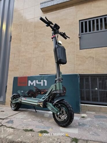 Trottinette électrique