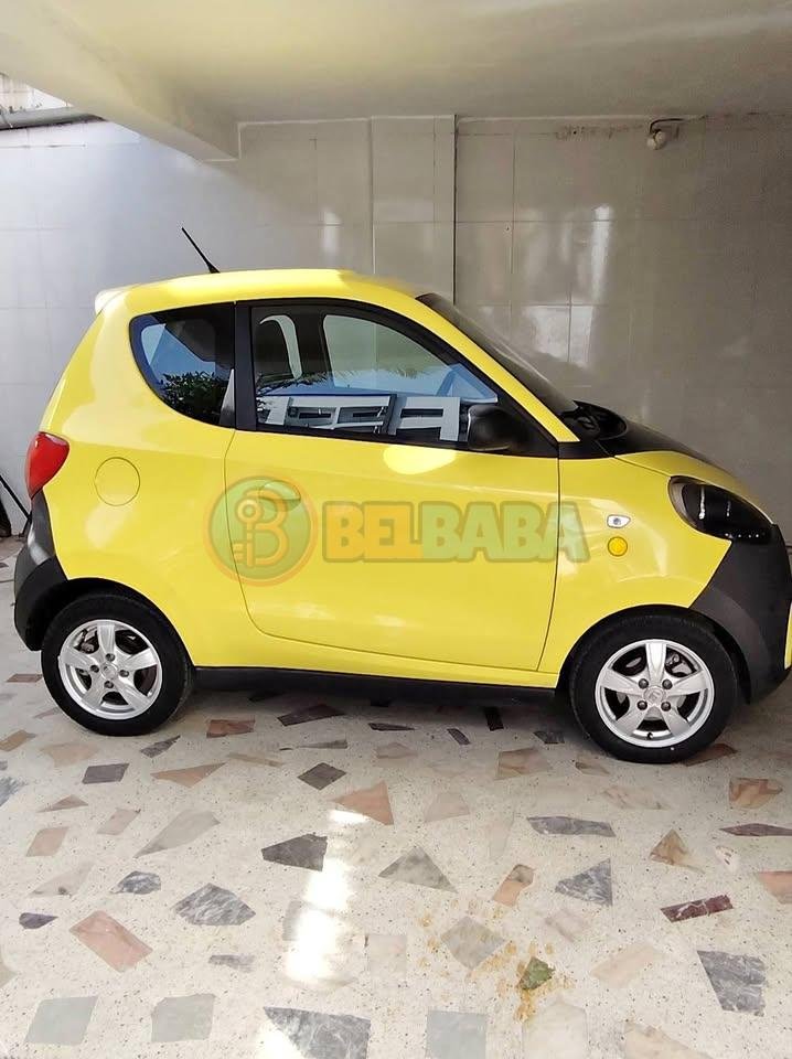 voiture occasion maroc Voiture 100 % électrique