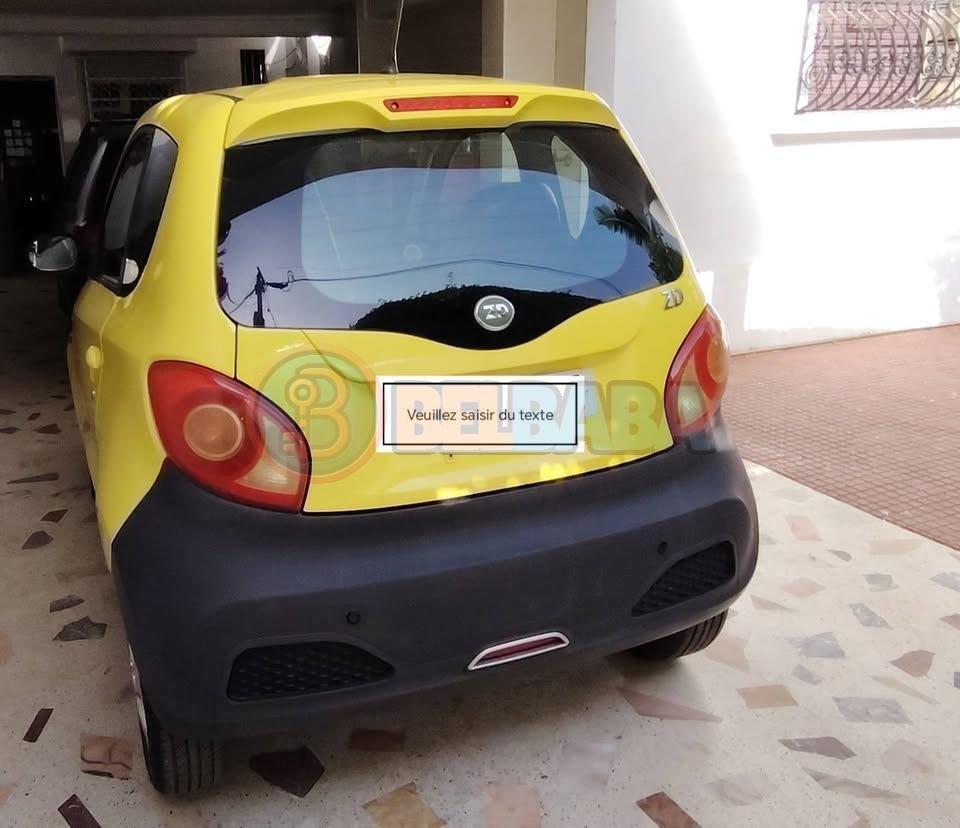 voiture occasion maroc Voiture 100 % électrique