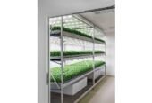 Offre Professionnelle – Serres Modernes et Fermes Verticales Indoor Basé à Casablanca, Mar