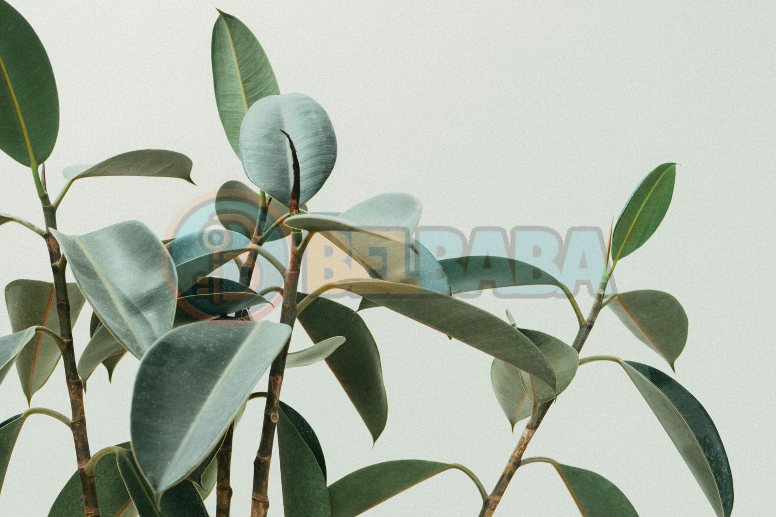 Cours d’anglais pour collège & lycée