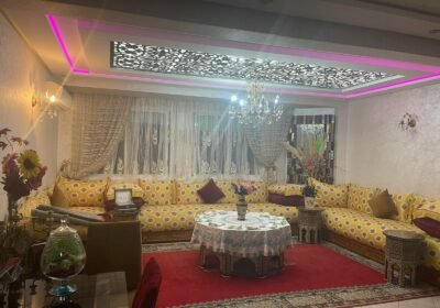 WhatsApp-Image-2026-02-11-at-14.54.41